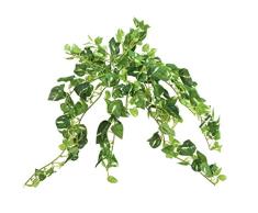 Europalms Kunstpflanze Efeu Kletterpflanze Pothos 50 cm