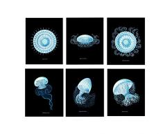 Joy For All Art Kunstdruck, Quallenmotiv, 20,3 x 25,4 cm, 6er-Set von 6 Stück, ungerahmt, atemberaubende Bunte Meeresdekoration für Küche, Schlafzimmer, Büro, Badezimmer, Zuhause