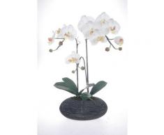 Red Vanilla OF064-100 Phalaenopsis Tafelaufsatz mit weißer Orchidee, schwarzer Boden Weißes Deko-Mittelstück, 68 cm (26,75 Zoll) 26.75 x 15 Rock Base