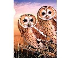 Royal Brush verschiedenen Junior kleine Malen nach Zahlen Kit 8.75-inch X 11.75-inch, Tawny Eulen