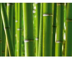 AG Design FTS 0170 Bambus, Papier Fototapete - 360x254 cm - 4 teile, Papier, multicolor, 0,1 x 360 x 254 cm