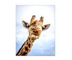 QH Queen Size Bedruckte Samt-Plüsch-Überwurf, Komfortables Design, Heimdekoration, Fleece-Decke, perfekt für Couch Sofa oder Reisen, 147 x 203,2 cm 150 * 200cm Pattern14