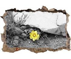 Pixxprint 3D_WD_S4324_92x62 schöne Kakteen mit gelber Blüter Wanddurchbruch 3D Wandtattoo, Vinyl, schwarz / weiß, 92 x 62 x 0,02 cm