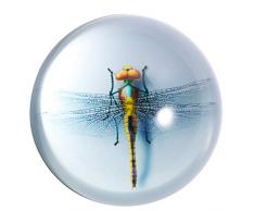 HANUR Briefbeschwerer, Glaskugel, Halbkugel Presse, Kreative Dekoration, Bürobedarf 2