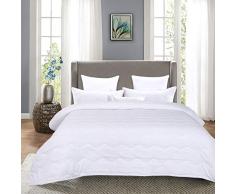 Hombys leichte Gänsedaunen Alternative Gesteppte Tröster – Ganzjahres-Plüsch-Mikrofaser – maschinenwaschbare Bettdeckeneinlage – warme hypoallergene Bettdecke Queen weiß