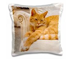 3dRose Happy orange Tabby cat Relaxing on Fancy Armchair Kissenbezug, weiß, 16 x 16