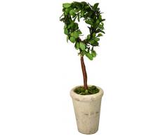 Moderne Home 33 cm konserviert, Buchsbaum Monogramm Buchstaben W/Terra Cotta Topf, D