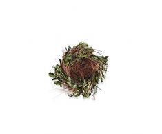 K&K Interiors 13850A Buchsbaum- und Grasnest, 14 cm, Braun