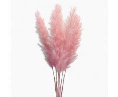 MLSG 60 Stiele Natürliche trockene Blumen kleine Pampas Gras, Phragmiten Kommunis, getrocknete Blumen Blumenstrauß für Hochzeit Blumengestecke Zuhause Dekoration Rose