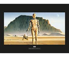 Komar Wandbild Star Wars Classic RMQ Droids | Kinderzimmer, Jugendzimmer, Dekoration, Kunstdruck | ohne Rahmen | WB135-70x50 | GrÃ¶Ãe: 70 x 50 cm (Breite x HÃ¶he)