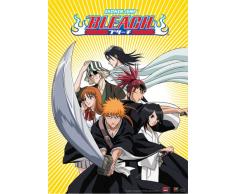 Great Eastern Entertainment Bleach Ichigo Team mit Byakuya und Rengi Wall Scroll, 33 von Blumenkasten