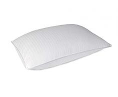 Blue Ridge Home Fashions Kopfkissen, Fadenzahl 500, Punktemuster, Hybrid-Mischung (natürliche Daunen und Federn), Doppelbezug, 1 Stück Standard weiß