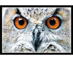 Unbekannt Trends International Wand Poster FC Barcelona Neymar JR Gerahmte Version 22.375 x 34