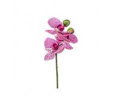 EUROCINSA Ref.86043C25 Mini Orchidee Fuchsia mit Gelb, Box mit 12 Stück, 23 cm