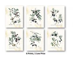 Ramini Brands Dekorationsdrucke – Set mit 6 x 8 x 10 ungerahmten Drucken – Oliven, Olivier, Oliven, ideal ALS Geschenk für Zuhause oder Bar
