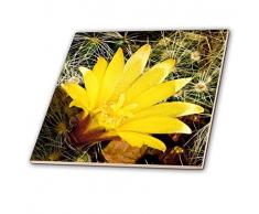 3dRose ct_32386_4 Dekorative Bunte Pflanze für den Garten, Botanik, Klassische Pflanze SW Südwestwüste, Kaktus, grün-goldene Blume, Keramikfliese, 30,5 cm