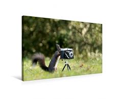 Premium Textil-Leinwand 75 x 50 cm Quer-Format Eichhörnchen entdeckt die Liebe zur Fotografie. | Wandbild, HD-Bild auf Keilrahmen, Fertigbild auf hochwertigem Vlies, Leinwanddruck von Birgit Cerny
