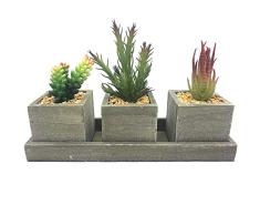 Aisamco Set aus 3 künstlichen Sukkulenten Kaktus, Aloe gemischt künstliche Sukkulenten Topfpflanzen Holz Pflanzgefäße Arrangement Landhausstil quadratisch Holztöpfe & Ablage