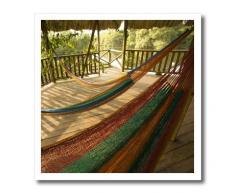 3dRose ht_85551_1 Hängematte, Palmen, Jaguar Reef Lodge, Belize – John and Lisa Merrill – Bügeln auf Wärme für weißes Material, 20,3 x 20,3 cm