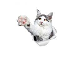 Winston & Bear Reaching Maine Coon Cat Wandaufkleber – 2 Stück – Grau Weiß Maine Coon Cat WC Aufkleber – 3D Cat Auto Fenster und Stoßstange, Geschenk für Katzenliebhaber