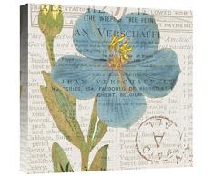 Global Galerie Katie Pertiet Bücherregal Botanical VI Giclée-Gespannte Leinwand Kunstwerk, 45,7 x 45,7 cm