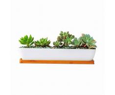 Clound city Weiß Keramik Sukkulente, Mini Übertopf Topf/Blume Pflanzgefäßen/Home Dekoration Vase Square Planter Pot