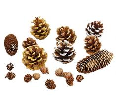Ximkee 18 Stück sortierte Tannenzapfen Natur PineCones Ornament Gold Crafts Geschenkanhänger Weihnachtsbaum Party Hängende Dekoration Display