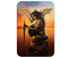 Filmposter, Motiv: Grafik & More Wonder Woman, für Zuhause, Büro, Schild 6 x 9 Multi