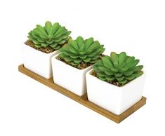 3 Stück Künstliche Mini Sukkulenten in Quadratisch Weiß Töpfe und abnehmbarer Bambus Tablett