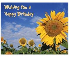 Sonnenblume Happy Birthday Kühlschrank Magnet