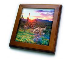 3dRose FT 206299 _ 1 USA, Arizona, Wildblumen & Kakteen bei Sonnenuntergang in Organ Pipe Cactus NP von Fliesen, 8 von 20,3 cm