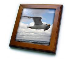 3dRose FT 100297 _ 1 Möve Segelflug über die Ostsee, Coast von Norway-Framed Kacheln, 8 20,3 cm