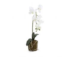 K&K Interiors 15227A Orchidee im Moostopf, 53 cm, Weiß