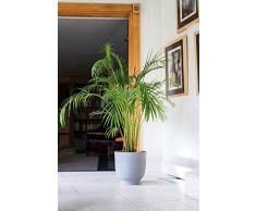 Ivyline Blumentopf, Zement/Kunststein, weiß, 25 cm