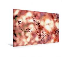 Premium Textil-Leinwand 120 x 80 cm Quer-Format Ceisier Blumen | Wandbild, HD-Bild auf Keilrahmen, Fertigbild auf hochwertigem Vlies, Leinwanddruck von Patrice THEBAULT