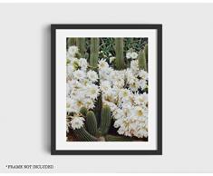 Ink Print Art Poster Kaktus und Gänseblümchen, 28 x 36 cm 11 x 14 Unframed