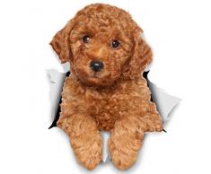 Winston & Bear 3D Hund Aufkleber - 2er-Pack - rote Pudel für Wand, Kühlschrank Pudel Hund Aufkleber
