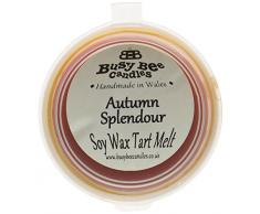 Busy Bee Kerzen Herbst Pracht Wachs-Tart Schmelzen, orange, Set von 6