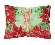 Carolines Treasures CK1362PW1216 Pharao Hound Outdoor Leinenkissen, Weihnachtsstern