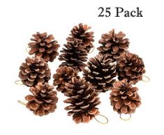 Whaline Natürliche Tannenzapfen, 25 Stück, rustikale Tannenzapfen, große Ornamente mit Schnur für Geschenkanhänger, Party, Hängevorhänge und Weihnachtsbaum-Dekoration (3,6-6,4 cm)