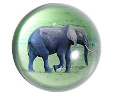 HANUR Briefbeschwerer, Glaskugel, Halbkugel Presse, Kreative Dekoration, Bürobedarf Elephant 2