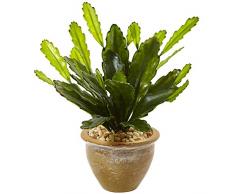 Nearly Natural Fast natürlichem 6926 Double Kaktus im Ton, glasiert