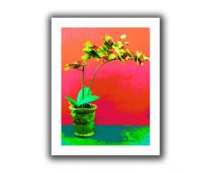 Art Wand Kräuter Dickinson Orchidee Opus flach Brillanz Leinwand, 22 von 18