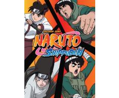 Great Eastern Entertainment Naruto Shippuden Team Guy Wall Scroll, 33 von Blumenkasten