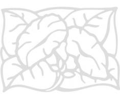 INDIGOS/Wandaufkleber-e185 hübsche Trompetenblume 120x86 cm- Silber, Vinyl, 120 x 86 x 1 cm