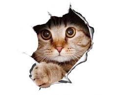 Winston & Bear 2 Pack - globale Aufkleber 3D Katze Aufkleber - spähen Katze Aufkleber für Wand, Kühlschrank