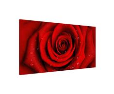 Apalis Rosenbild Magnettafel - Rote Rose mit Wassertropfen - Blumenbild Memoboard Quer 37cm x 78cm Größe HxB:37cm x 78cm