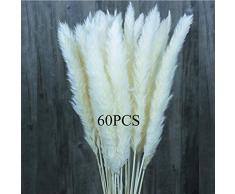 60 Stück Natürliche getrocknete Blumen kleine Pampas Gras Hochzeit Blumen Blumenstrauß Phragmiten Kommunis Blumenstrauß für Blumengestecke Home Decor