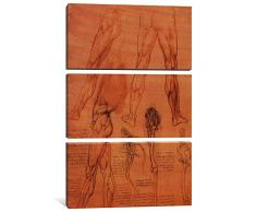 iCanvasART 1506 Leinwandbild, Motiv Leonardo da Vinci, 3-teilig, Motiv Die Beine des Menschen und das Bein eines eines Pferdes, 3,8 x 101,6 x 152,4 cm