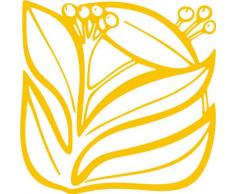 INDIGOS/Wandaufkleber-e55 Blätterwerk Blatt Blüte Blumen Pflanzen Ranke 80x79 cm- Gold, Vinyl, 80 x 79 x 1 cm